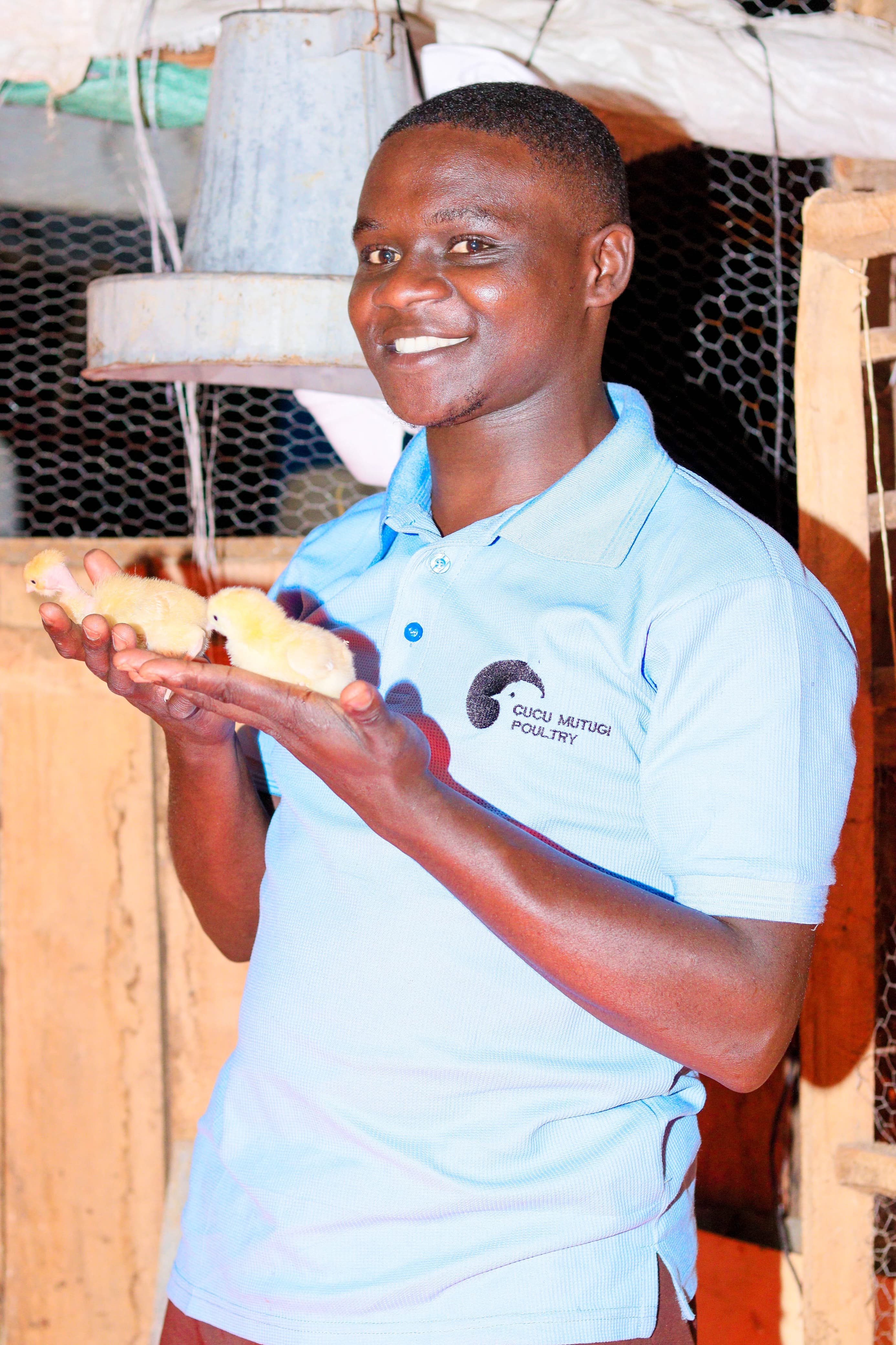 Owner with yellow chicks